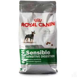 Royal best sale canal dog